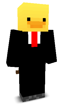 Pika_Duckyy's skin