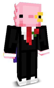SuperdragonRoc's skin