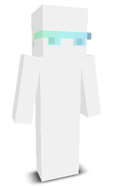 12x20's skin