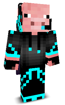 ollynoobs1234's skin