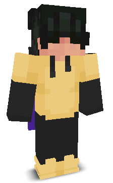 Sweptix's skin