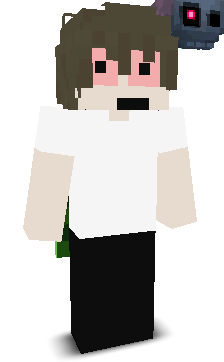 Saehy's skin