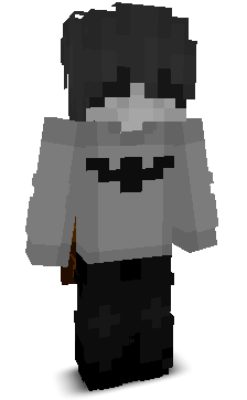 Gameur12345's skin