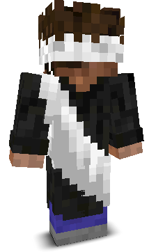 NotLuanlol's skin