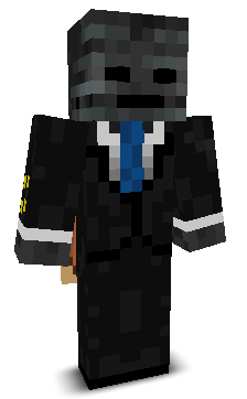 ToZexMC's skin