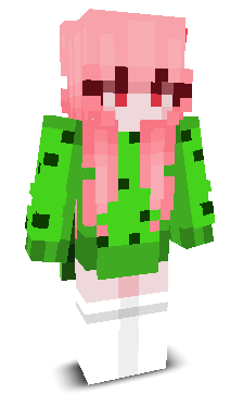 88462's skin