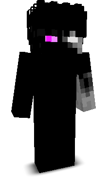 N1k1taFN's skin