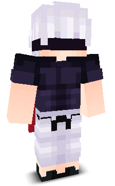 Mtdubs's skin