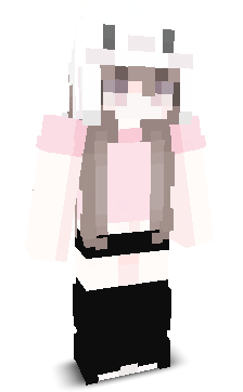 NVDK's skin