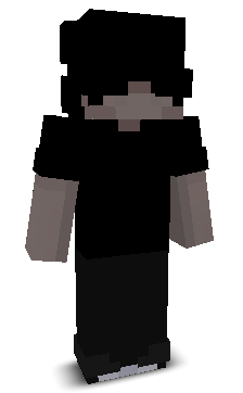 2vll's skin