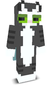 howdyzane's skin