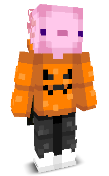 Pusx31's skin