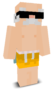 Skyblokk's skin