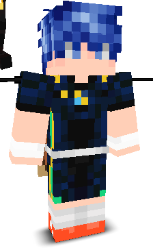 011sp's skin