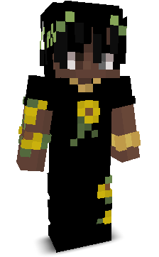 Primetimezz's skin