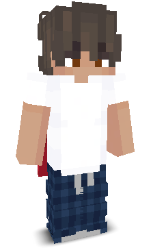 V1ceee's skin