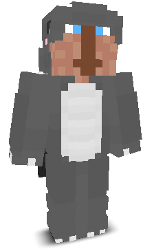 shqdxws's skin