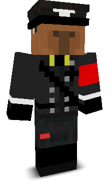 Visionet's skin