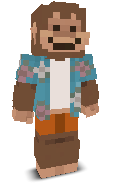 Budesiq's skin