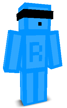 DashLimit's skin