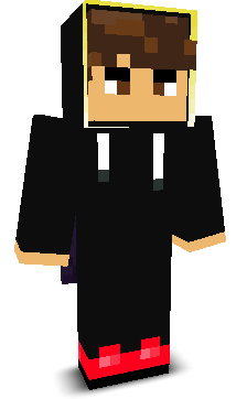 DippyCoder's skin