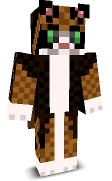 converpp's skin