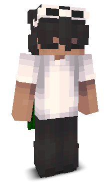 SkirtZX's skin