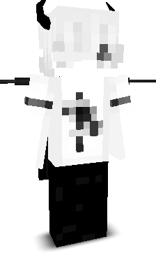MekhlGamer's skin