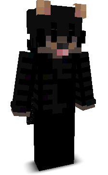 ruff335's skin