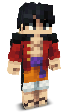 S1A1's skin
