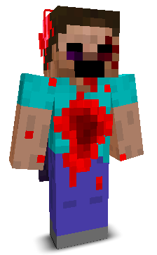 Webcamera's skin