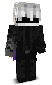 _VoidstarMC's skin