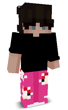 _Apii's skin
