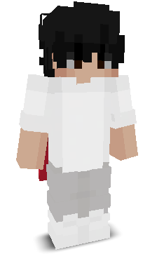 Typowykot's skin