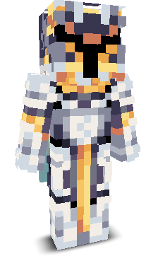 crazytimegaming's skin