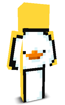 duckmirage's skin