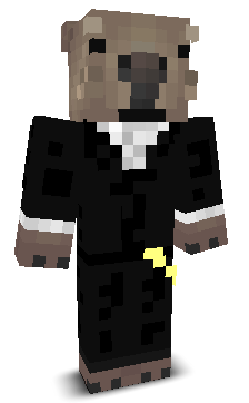 ShadowKnight4299's skin