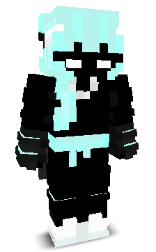 LieesS's skin