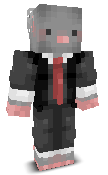 Coneexion's skin
