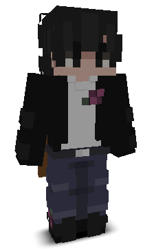 Soaringstar11's skin