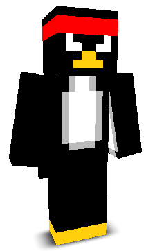 toadss's skin