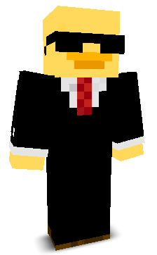 DecPlayzMc's skin