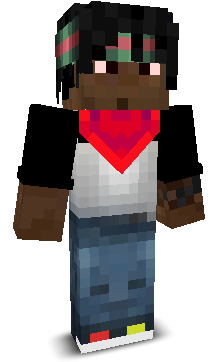 Bs2fly's skin