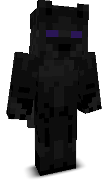 NotVyku's skin