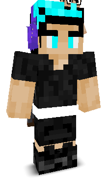 YTincDashD's skin