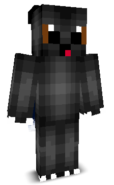 BoarderBandit's skin