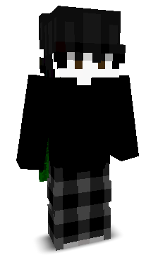 everestwtw's skin