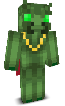 NinjaProPlayer's skin