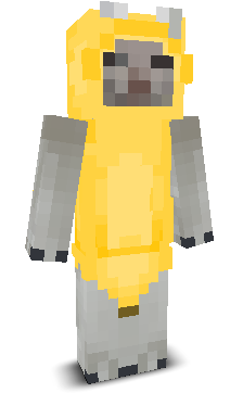 Bonkixity's skin