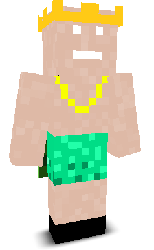 VIZD's skin